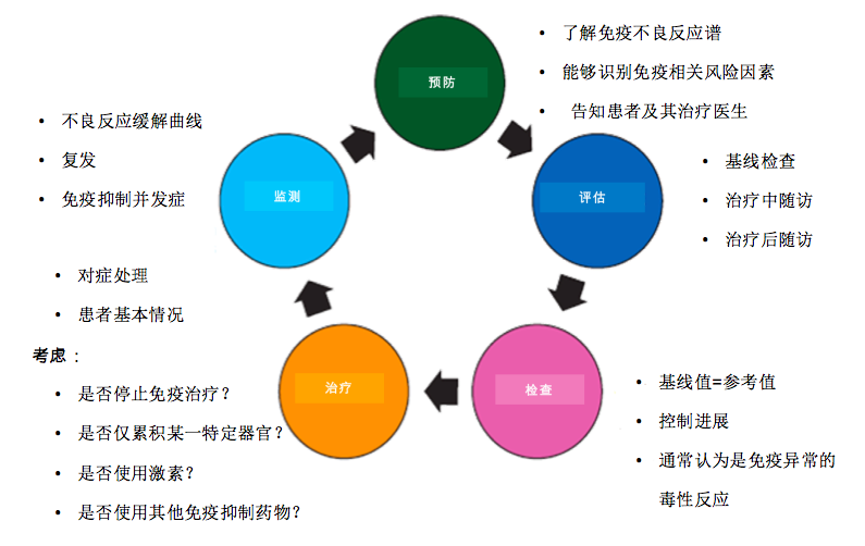 免疫检测点抑制剂不良反应的管理