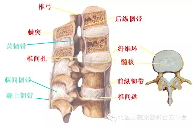 日常生活中如何保护腰椎——站有站“相”