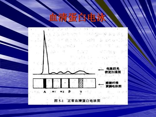 血清蛋白电泳及免疫固定电泳技术