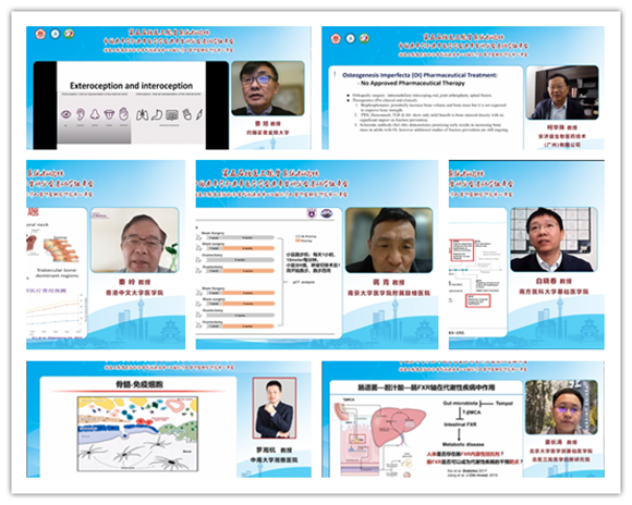 北京慢性病防治与健康教育研究会骨质疏松专业委员会成立大会暨2022年第五届北医三院骨质疏松论坛举行