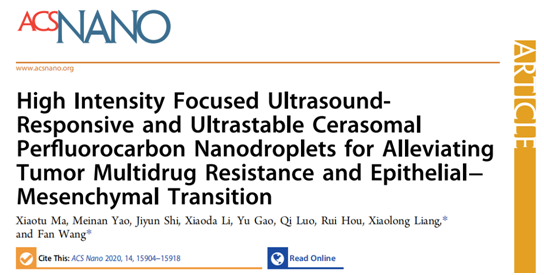 超声诊断科梁晓龙课题组在克服肿瘤乏氧提高化疗/光动力疗效方面取得重要进展