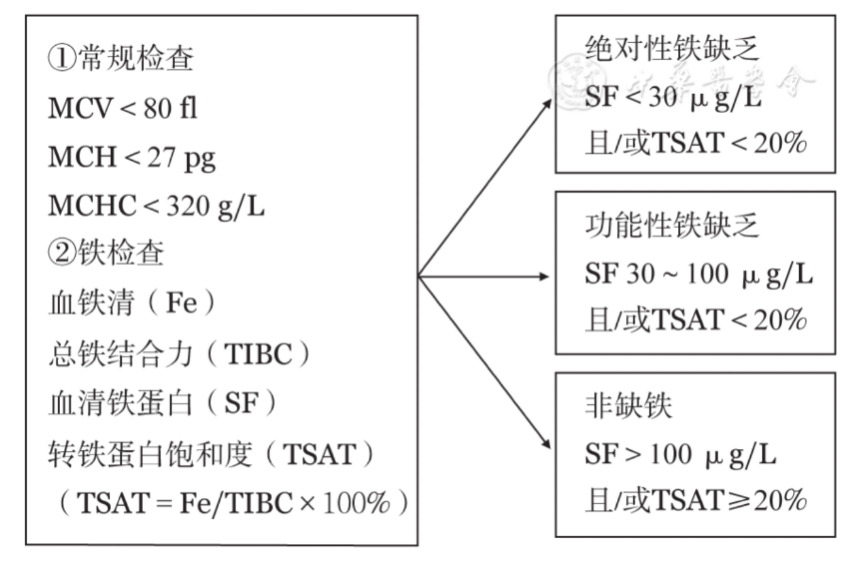 缺铁性贫血