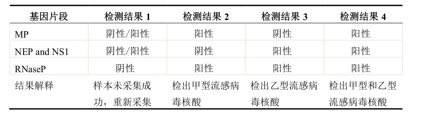 甲型和乙型流感病毒的检测