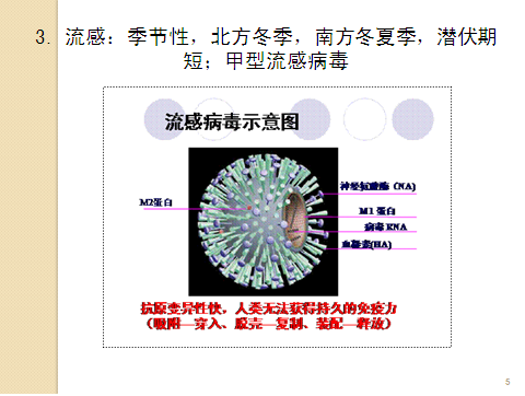 感冒相关问题