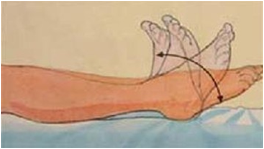 特殊时期 给孕妇特别的关爱