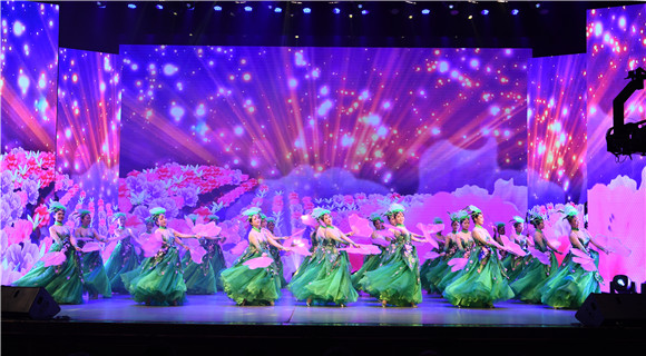 笃定前行 行稳致远 北医三院召开2019年度总结表彰大会