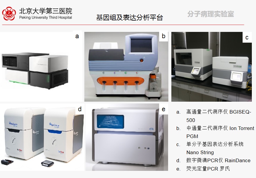 分子病理实验室简介