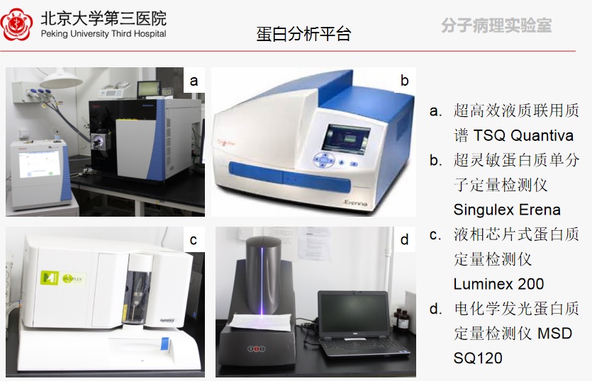 分子病理实验室简介