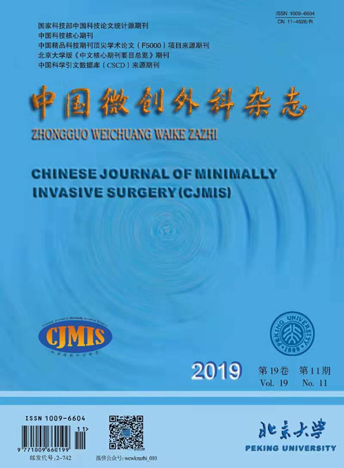 《中国微创外科杂志》影响因子再创新高
