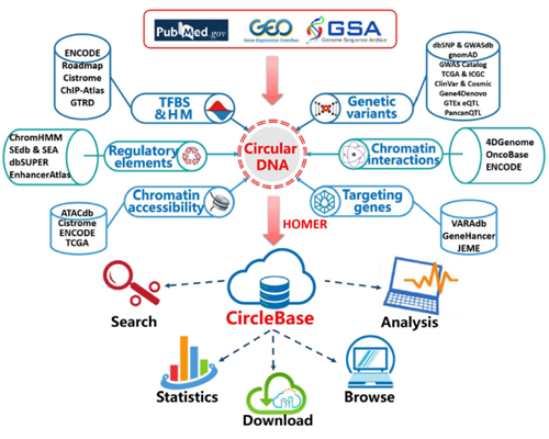 科技创新助推高质量发展 北医三院多项科技成果发表