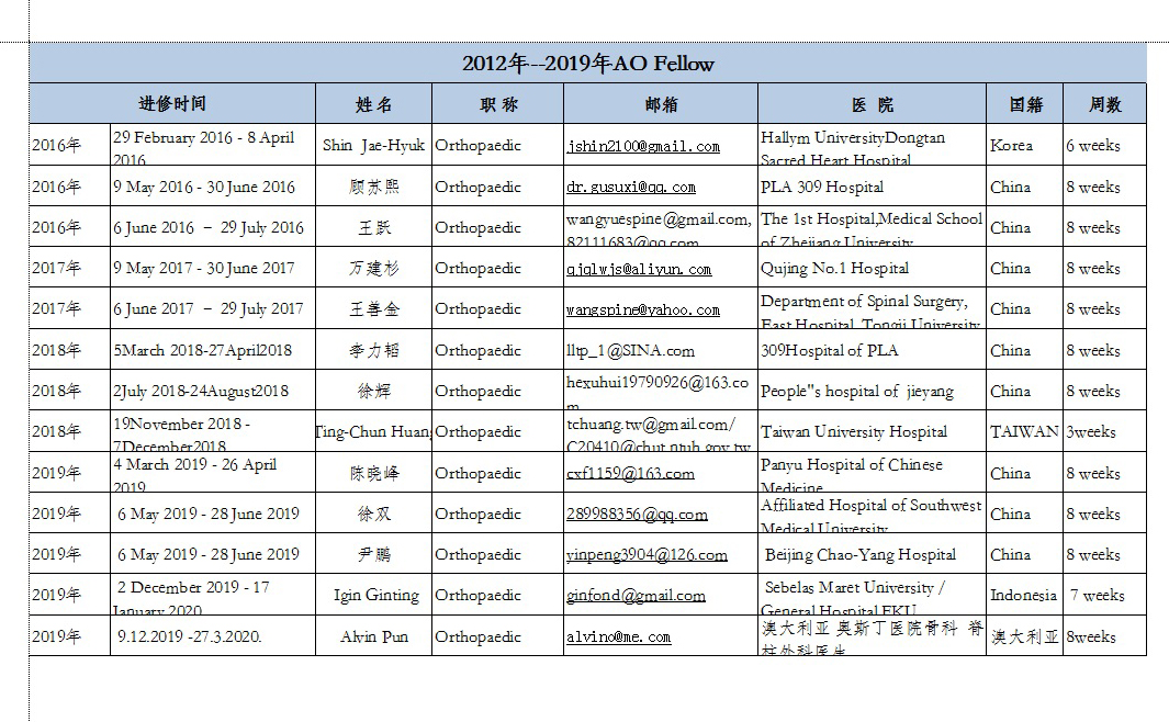 2012年至2019年AO Fellow名录