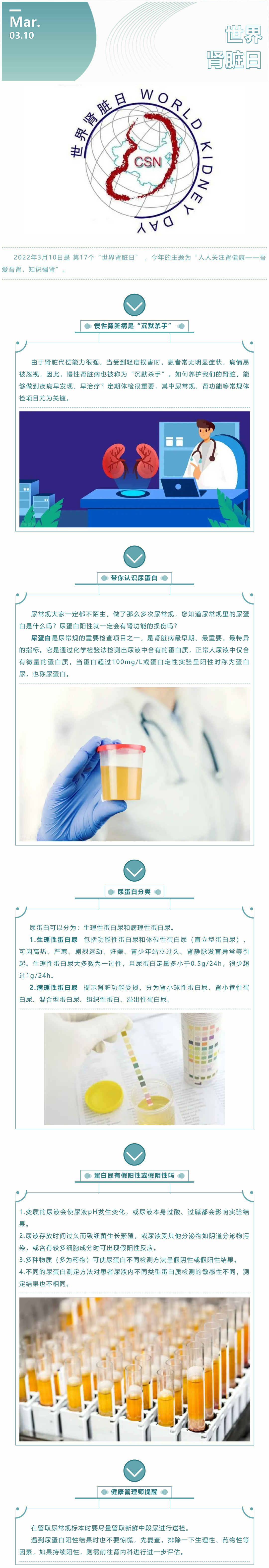 世界肾脏日｜知识强肾，“尿蛋白”了解一下