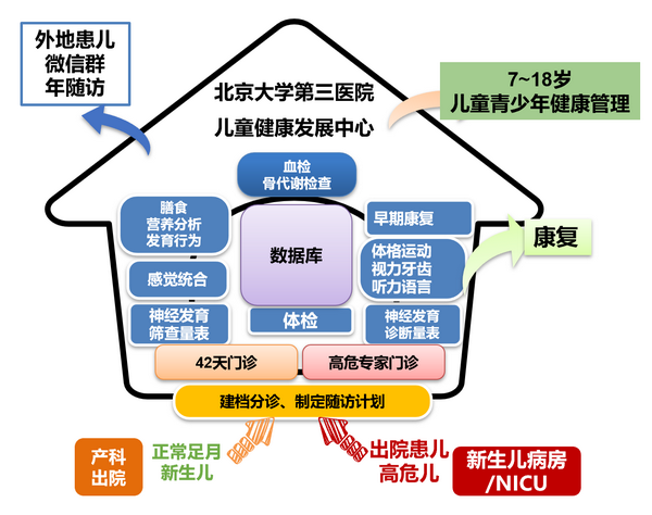北京大学第三医院儿科：以“生命最初1000天”为支点，构建从产前到成年全周期健康守护链