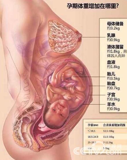孕期体重增加在哪里？（图片来源：北医三院产科）
