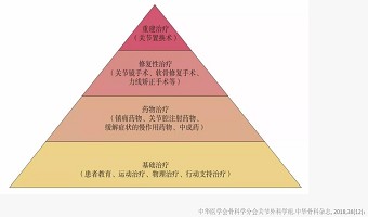 应对膝关节的“炎”重警告，康复医学专家给您支招！