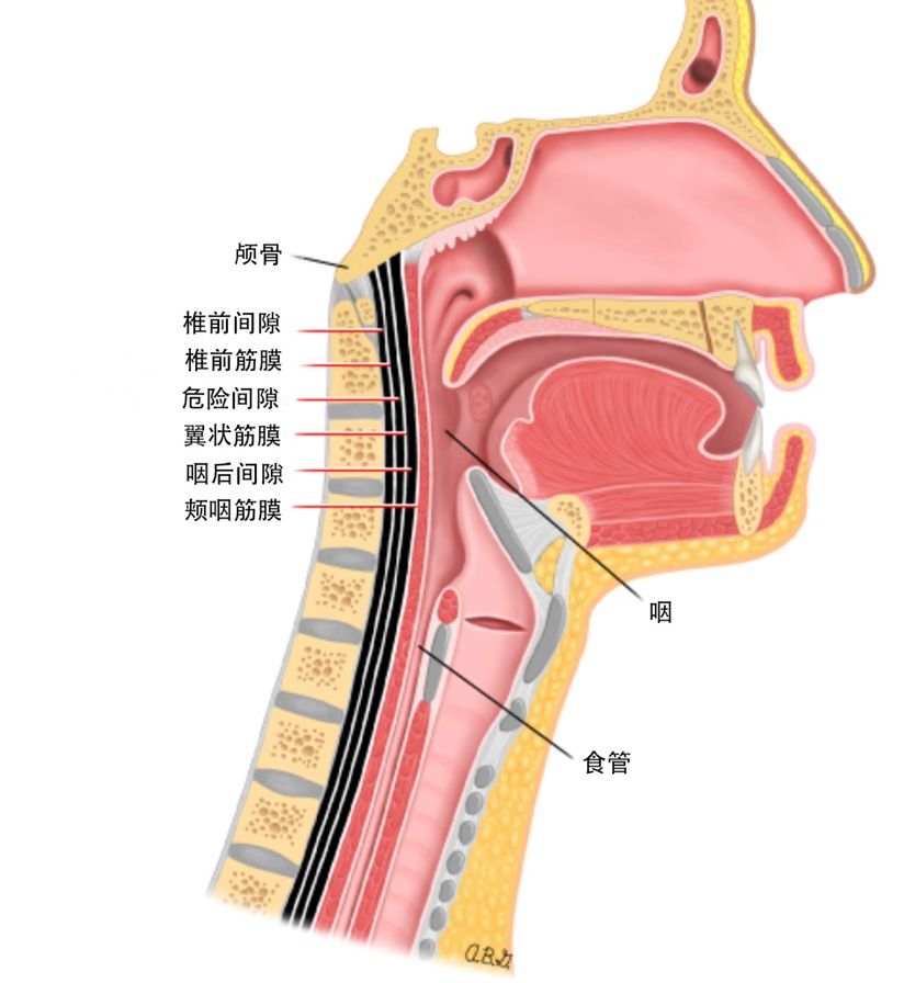 图示描述已自动生成