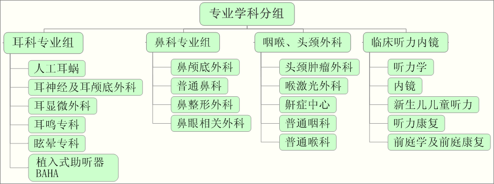 专业分组与技术水平