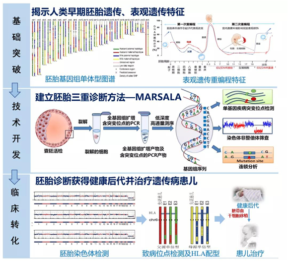 聚焦高质量发展 守护人民健康 | 北医三院2022新年献词