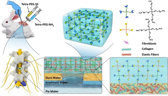 科技创新助推高质量发展 北医三院多项科技成果发表