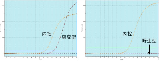 ARMS平台及检测项目简介