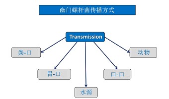 终结幽门螺杆菌的一切疑问，专家帮您健康无“幽”