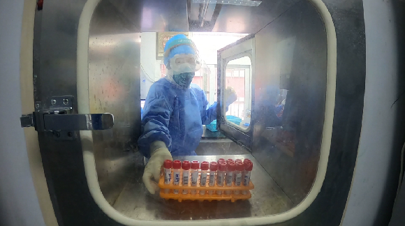 一份准确的核酸检测报告背后……