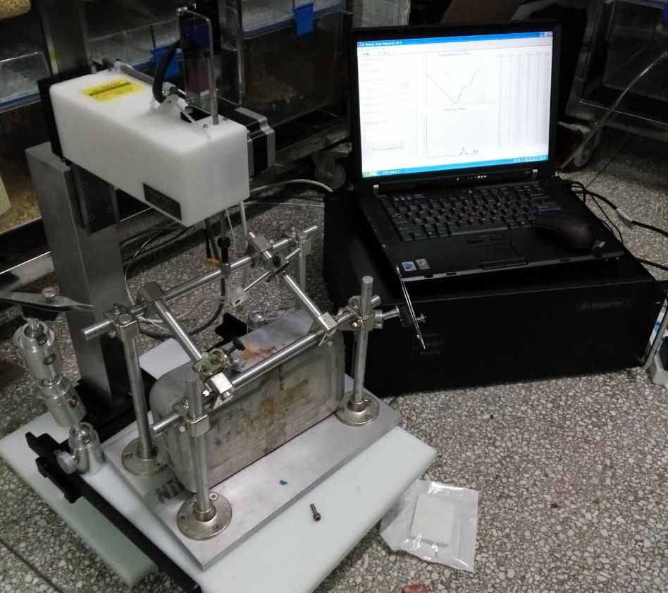 【科研】我科人员独立制作了国内首例大鼠C5单侧脊髓挫伤模型