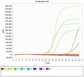 分子生物学及遗传学平台