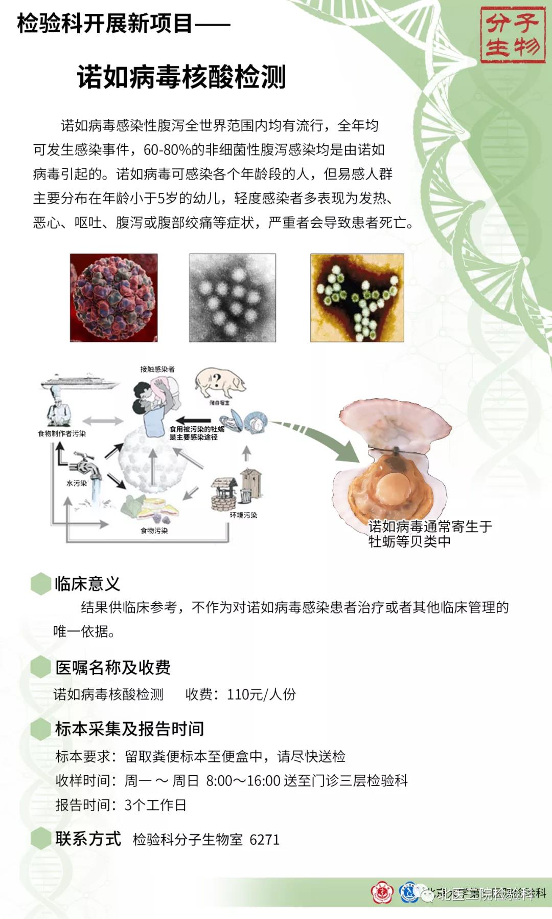 检验科分子生物组新开展项目公告