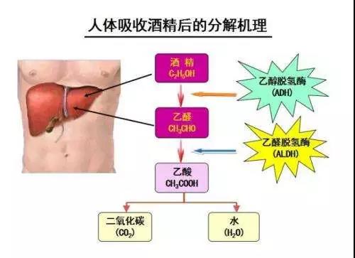 微信图片_20210420112651.jpg