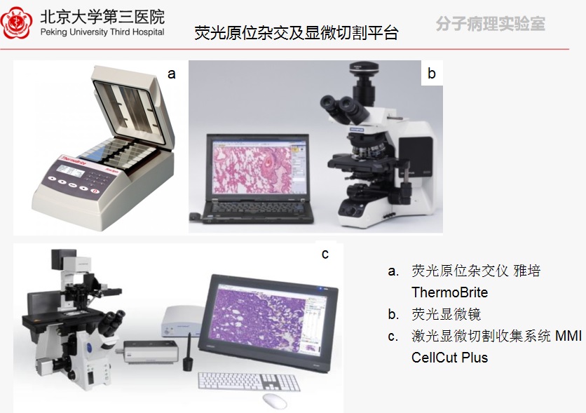 分子病理实验室简介