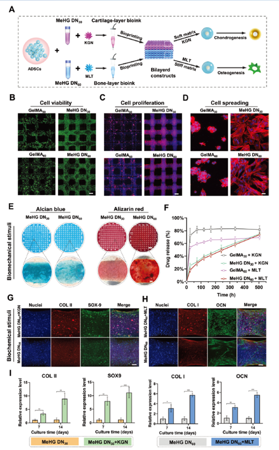 科技创新助推高质量发展 北医三院多项科技成果发表（4）