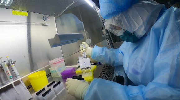 一份准确的核酸检测报告背后……