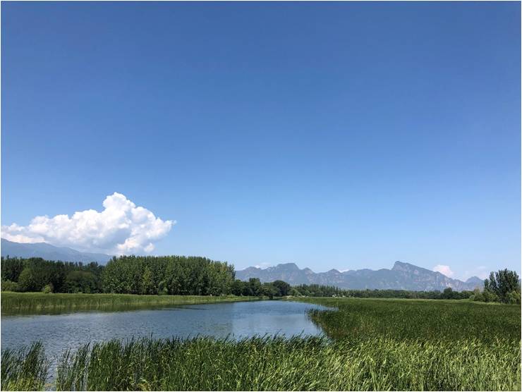 科室活动|北医三院骨科职工赴北京世界园艺博览会参观