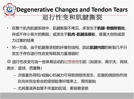 【经典超声书籍解读】肌肉骨胳超声诊断之肌腱不稳、退行性病变及肌腱撕裂