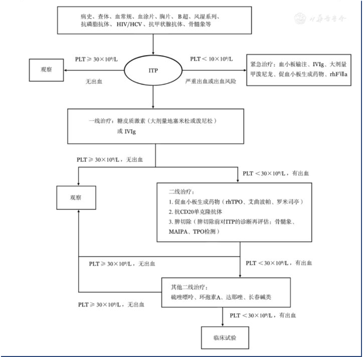 免疫性血小板减少性紫癜