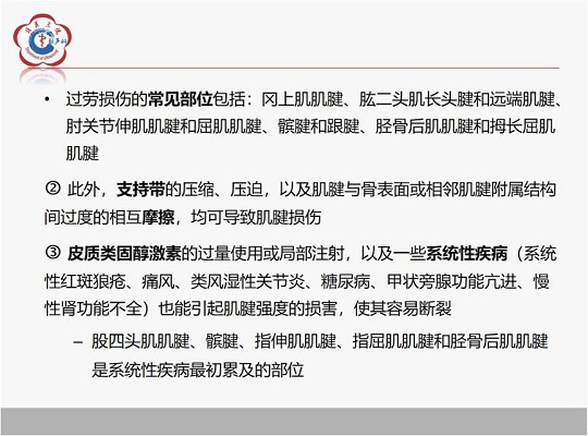 【经典超声书籍解读】肌肉骨胳超声诊断之肌腱不稳、退行性病变及肌腱撕裂