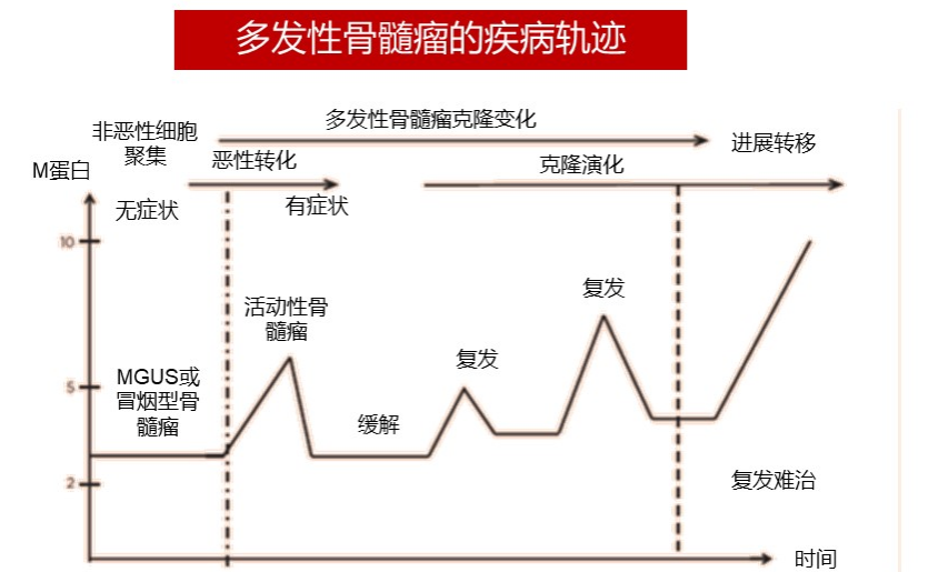 蟹魔歪道：多发性骨髓瘤的临床表现