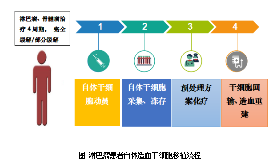 自体造血干细胞移植的哪些事