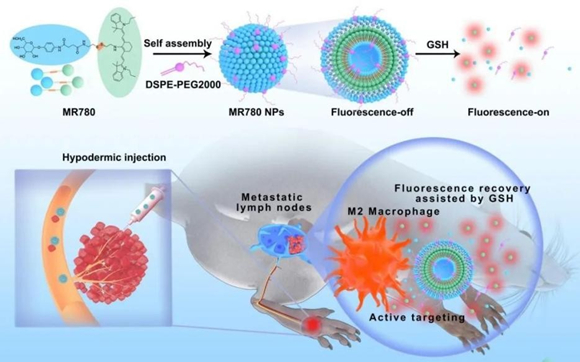 科技创新助推高质量发展 北医三院多项科技成果发表（3）