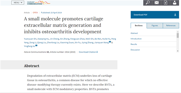 敖英芳教授课题组在Nature子刊发表小分子化合物治疗骨关节炎新成果